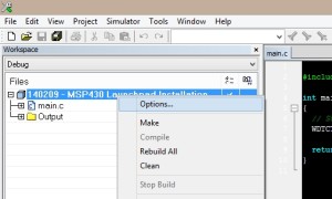 MSP430 Project Options