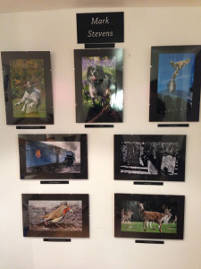 Mark Stevens Display at Yorkshire Photography Exhibition
